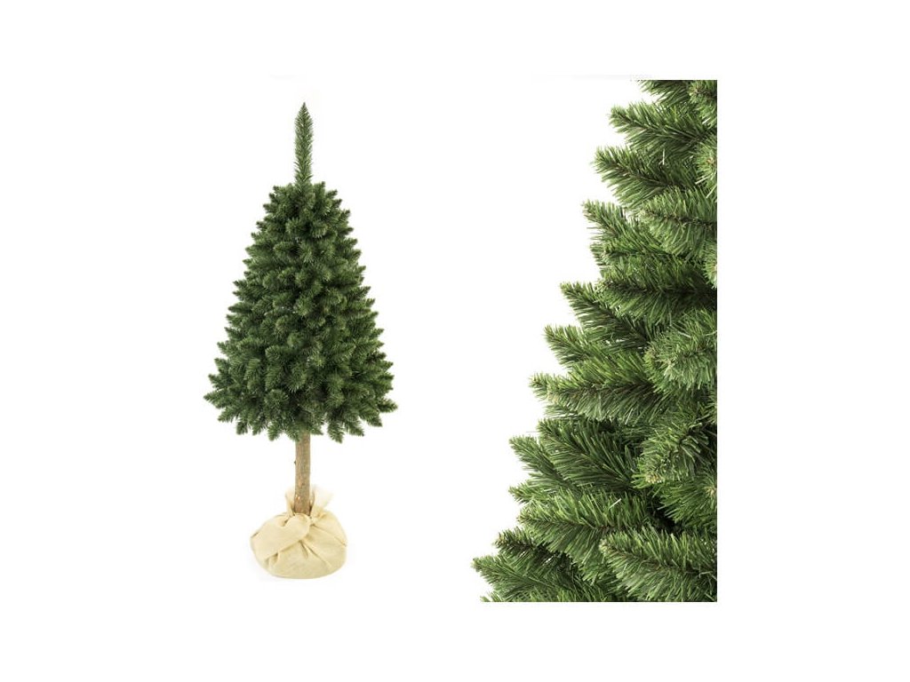 Vianočný stromček Sosna na pni zelený 180 cm